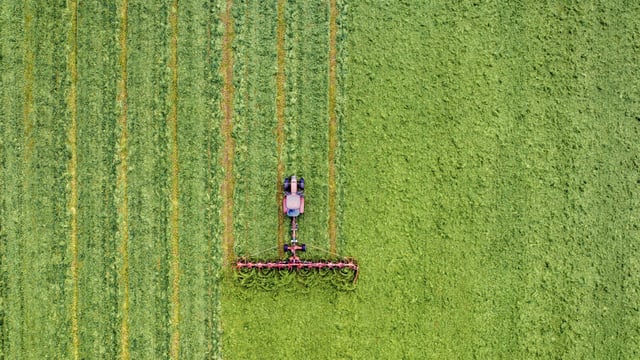 CSO: Fewer people worked in agriculture, forestry, fishing in Q1 2025