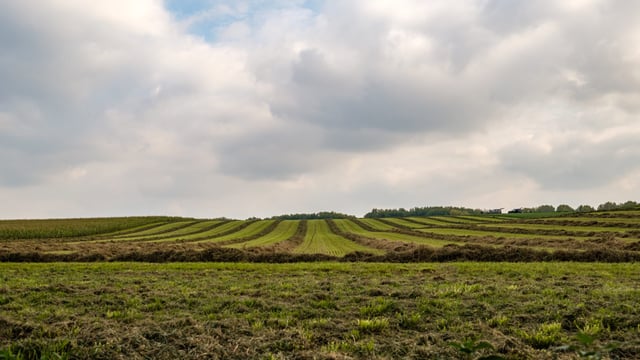 €17.8m awarded to  'environmental sustainability' projects