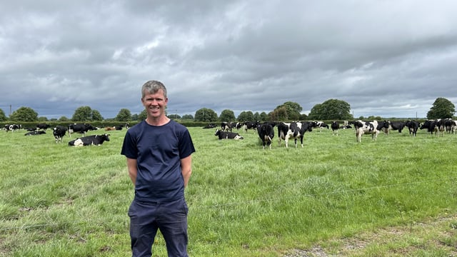 Dairy Focus: Keeping breeding simple but effective in Co. Tipperary