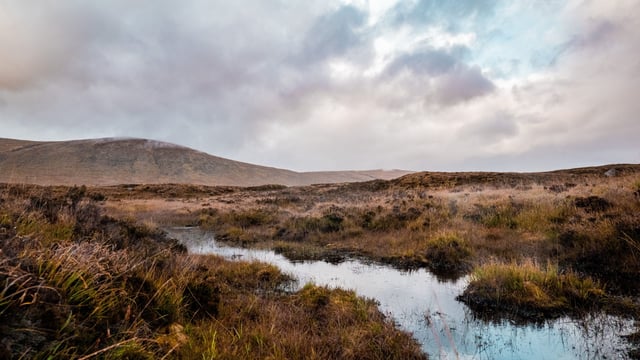Project reveals impact on rivers of long-term peatland drainage