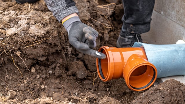 'Untreated sewage' in Ireland poses huge public health risk - MEP