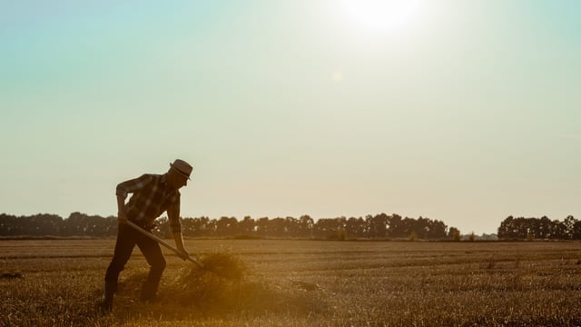 Many farms 'would not survive financially' without CAP payments - minister