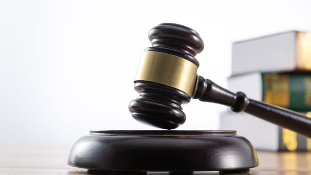 Court: Woman fined €15,000 and banned from owning animals for life