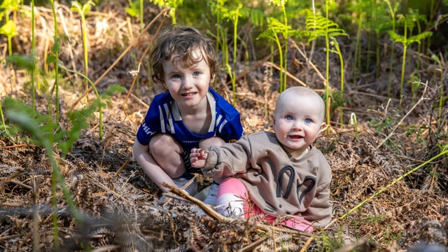 Research: 'Strong' public support for wetland restoration