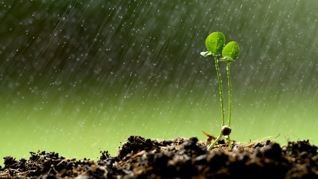 Met Éireann: Risk of thunderstorms for 10 counties