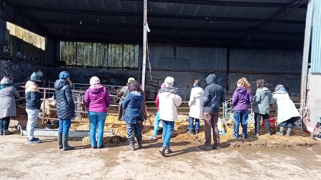 Farm walk set to explore the future of the industry