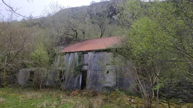 NPWS to renovate derelict farmhouse to enhance bat roost