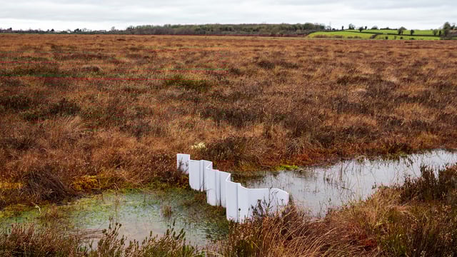Working towards a new peatlands architecture
