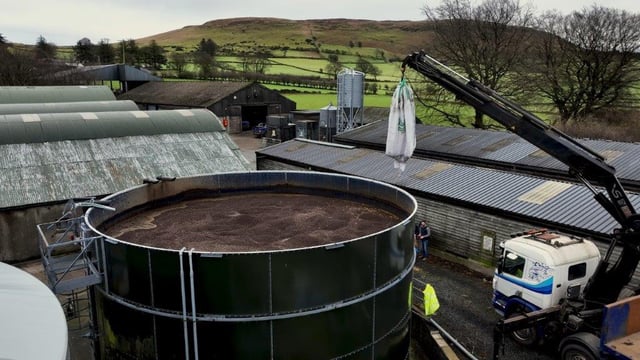 CAFRE models cutting ammonia emissions on beef and sheep farms