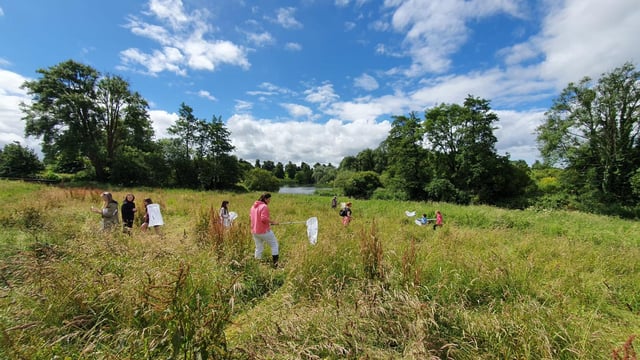Ireland to play key part in new European pollinator project