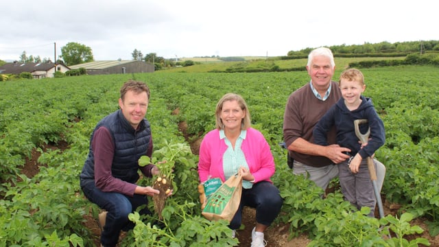 Tillage: Potato canopies now meeting between the drills
