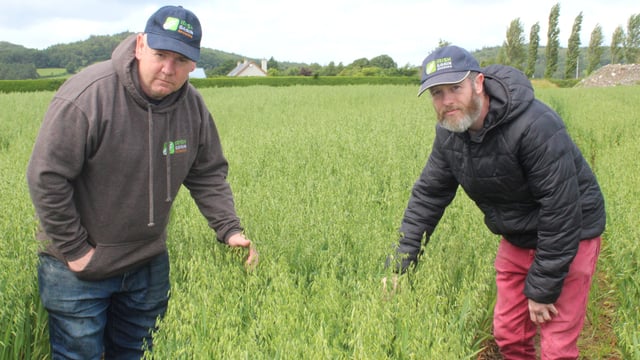 Talking crops' progress and the politics of tillage with IGGG