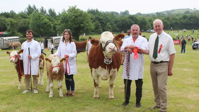 Super Simmental cow carries the day at Saintfield Show