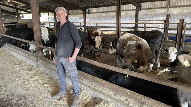 Listen: LESS not all plain sailing for beef-shed slurry