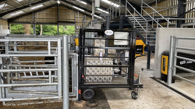 Researcher: Methane is 'an energy loss' in cattle systems
