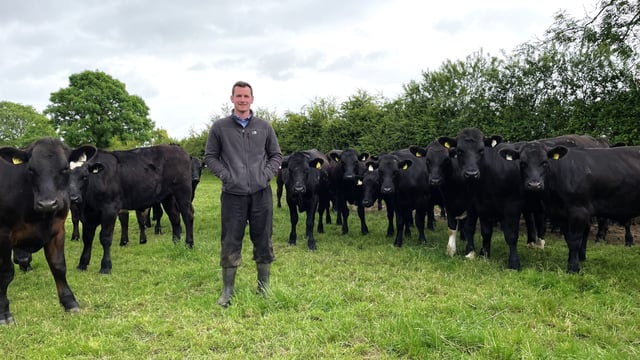 Listen: Young farmer with 170 cattle on a 100% leased farm