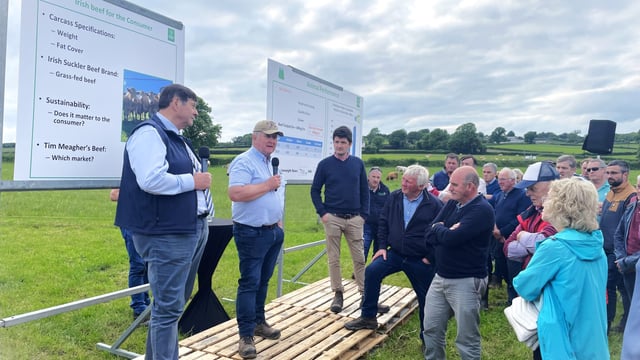 Factory insight on beef price and heavy carcass markets