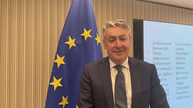 Irish MEP: 'A lot of concerns' about next CAP budget