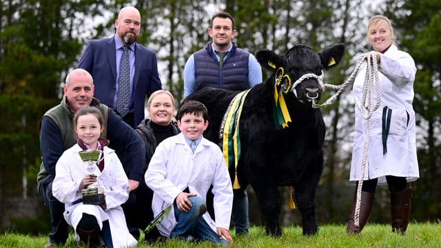 Drumhill Aberdeen Angus to host event marking 150th herd book