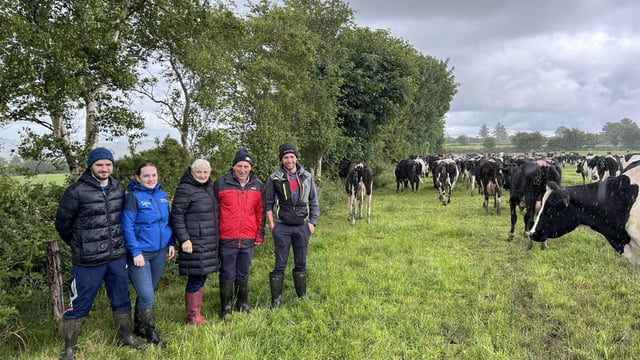 Grass quality, reseed progress and finishing up AI in Co. Cork