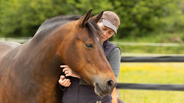 Equine-assisted mental wellbeing support on offer for farmers
