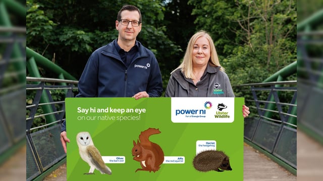 Power NI 'dedicated' to a sustainable future