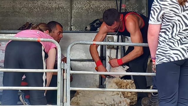 Kerry farmer to take on 50-hours of 'shear craic' for charity