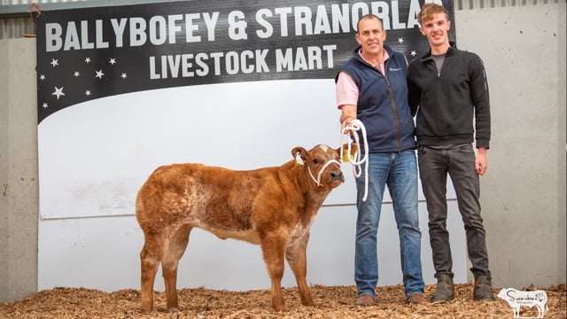 10-week old heifer calf makes €13,000 at sale in Donegal