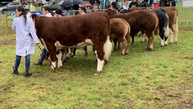 Three is a lucky number for some at Armagh Show 2025
