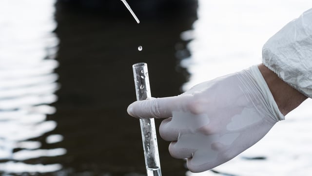 Irish lakes at risk of similar Lough Neagh algal event