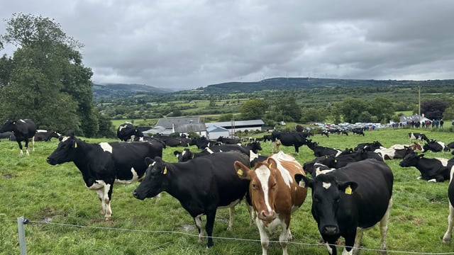 'Big believer in LESS' and a 'love for dairy washings' in Co. Limerick