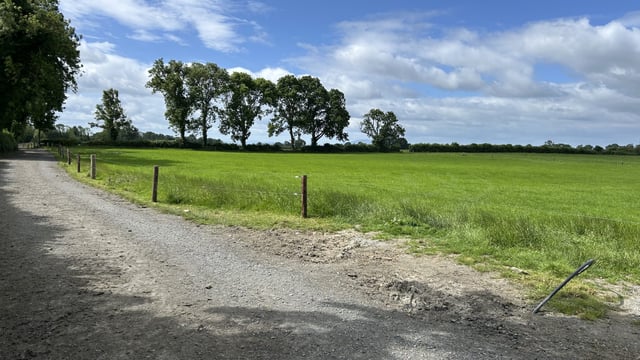 Lameness: Weather allowing for farm roadways revamp before next season