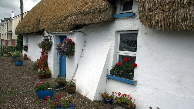 Senator calls for ETB courses to protect thatching tradition
