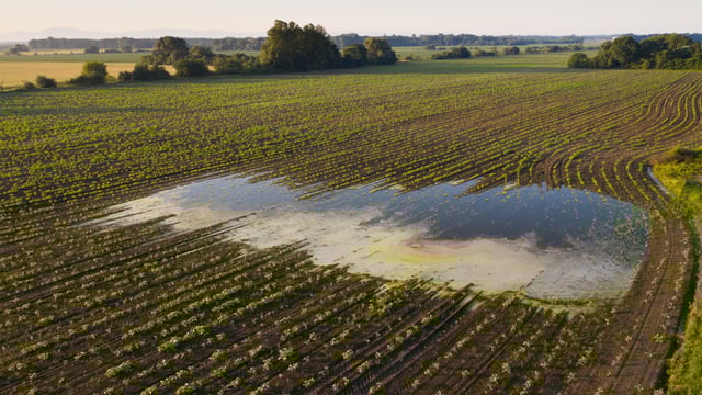 Report: Risk to crop yields as Ireland projected to get warmer and wetter