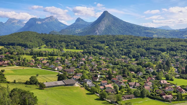 Contagious animal disease detected in France for first time