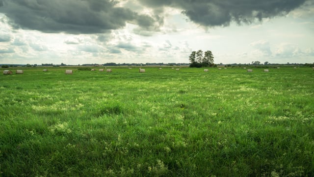 Met Éireann: Milder temperatures and frequent showers this week