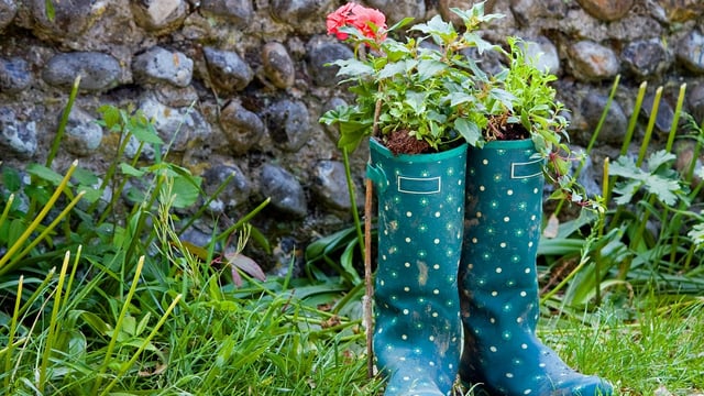 Upcycling wellies project to bring colour to Oireachtas garden