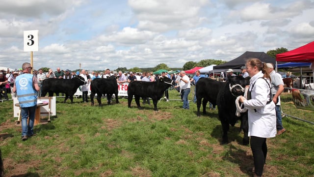 €1,000 prize fund for dairy-beef class at Arva Show