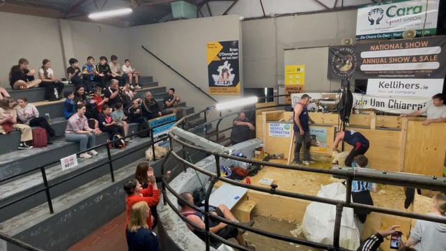 Watch: 50 hour sheep shearing challenge underway in Kerry