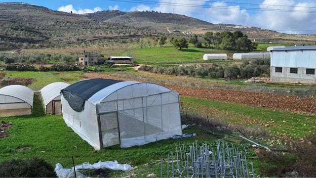 Sky's the limit for a West Bank land and farming co-op