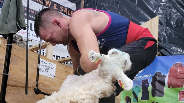 Watch: Kerry farmer shears 2,021 sheep in 50 hours for charity