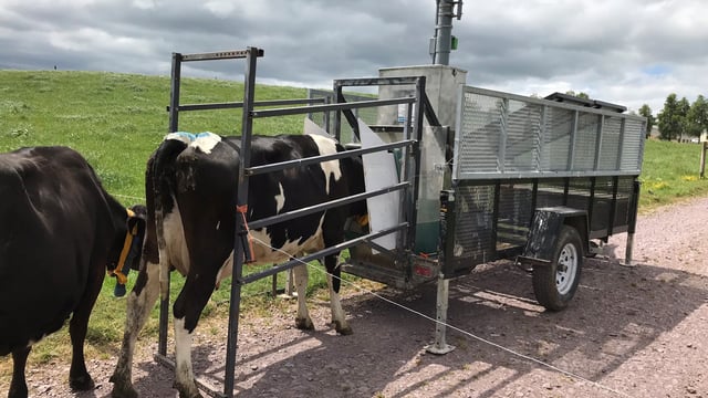 New chair appointed to Dairy Research Ireland