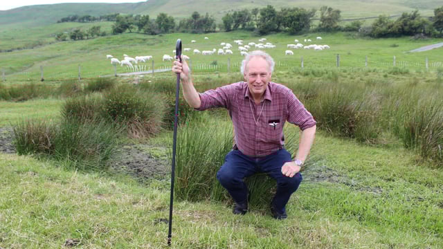 Demand for EasyCare bloodlines opening up overseas markets - farmer