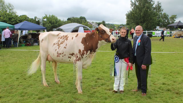 Improved genetics 'delivering across all aspects' of NI dairy sector - breeder