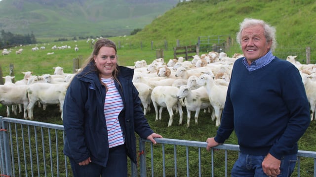 Genomics 'can deliver positive change' for sheep sector - specialist