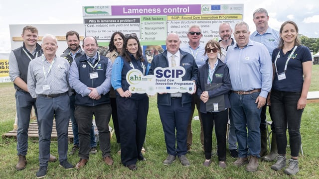 New videos aim to help farmers tackle lameness in cows