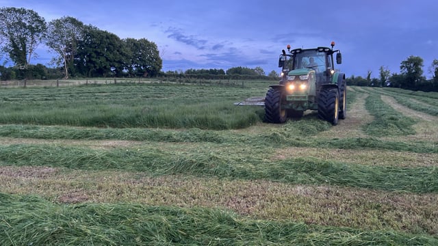 Weather offering chance for securing second-cut silage