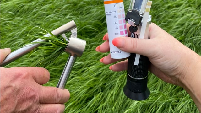 ABP Monitor Farm: Summer scour, silage, and cattle weight
