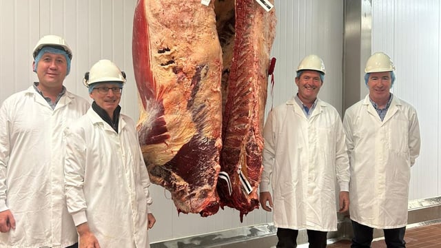 Results: Ashbourne Meats cow carcass competition