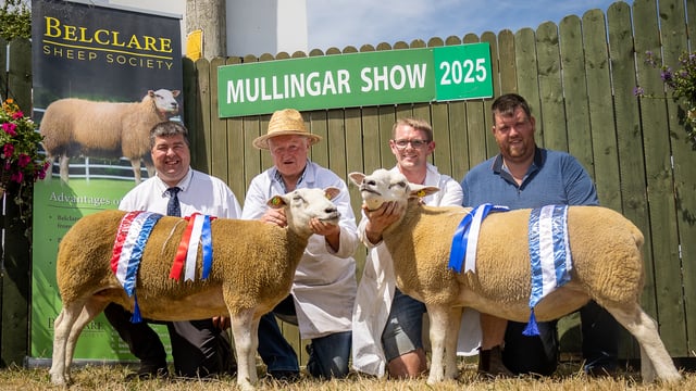 Galway flocks take top titles at Belclare Championship